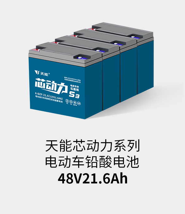人生就是博官网电池48v20ah