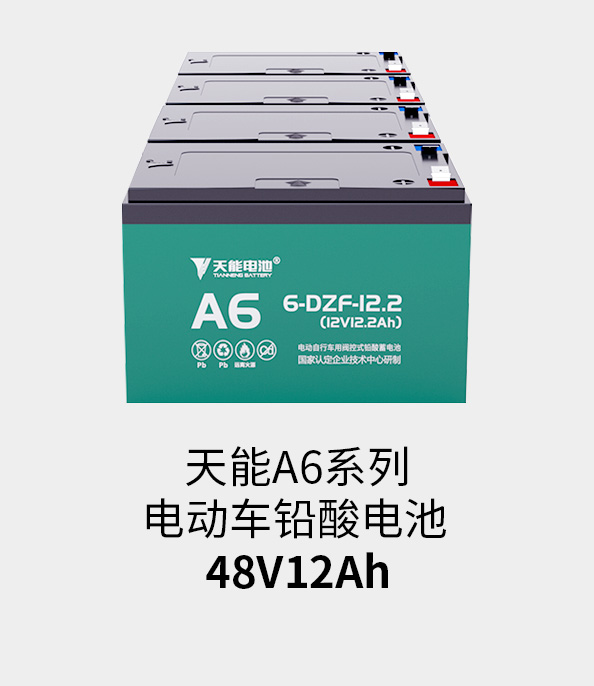 人生就是博官网电池48v12ah