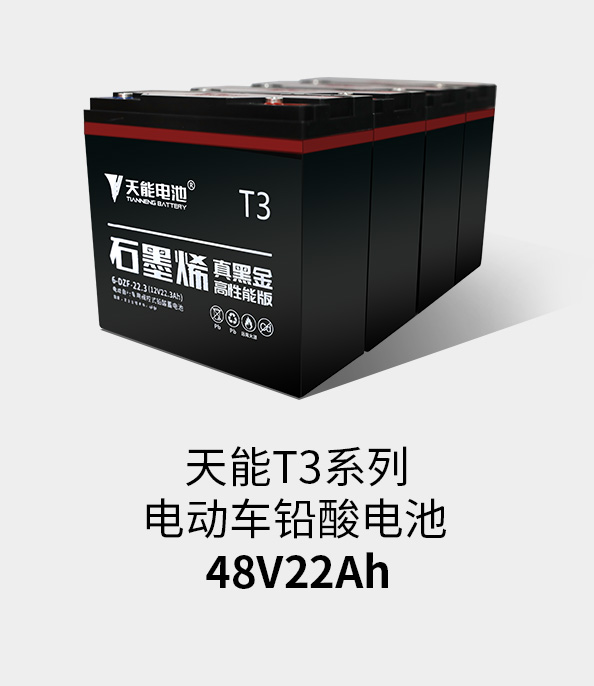 人生就是博官网T3系列48v22ah